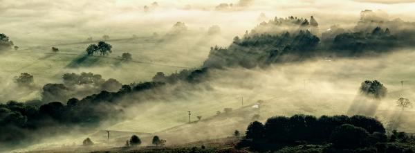 Misty Shadows