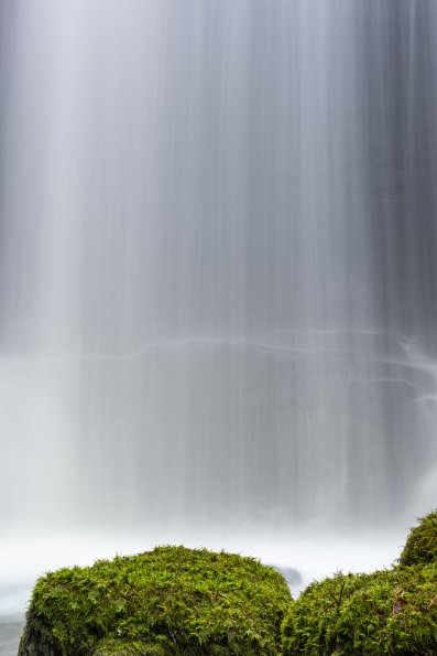 Shower Curtain